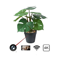 Totalcadeau Pot De plante Artificielle caméra espion WIFI HD 1080P avec son