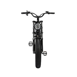 Vélo Électrique Ridstar Q20 - Moteur 500W Batterie 48V15Ah Pneus 20" Freins à Disque Mécaniques - Noir pas cher