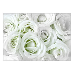 Artgeist Papier peint - Satin Rose (Green) [100x70]