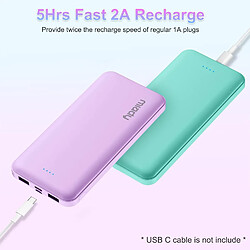 Acheter SANAG Lot De 2 Chargeurs Portables 10 000 Mah, Double Usb 2,4 A Avec Entrée/Sortie De Type C, Compatible Avec Iphone, Samsung, Huawei, Ipad, Et Plus Encore (Vert Lac Et Violet Lilas)