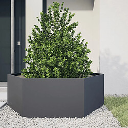 vidaXL Jardinière anthracite hexagone 138x120x45 cm acier