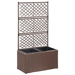 Maison Chic Jardinière,Lit surélevé - Bac à fleurs - pot de fleur treillis 2 pots 58x30x107cm Résine tressée Marron -GKD91473