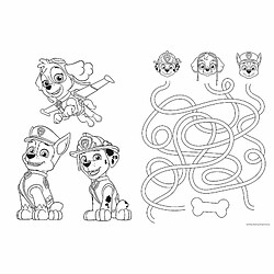 Avis Trefl Primo - PAW Patrol, Les Aventures de Pat' Patrouille - 3en1 : Puzzle 24 Grands Eléments, Livre de Coloriage, Jeu avec des Eléments à Colorier, Puzzle