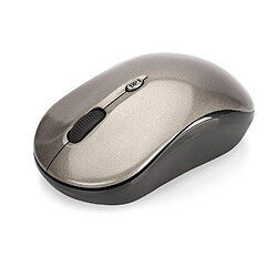 ASSMANN Electronic 81166 RF sans Fil Optique 1600DPI Ambidextre Anthracite, Noir Souris - Souris (Ambidextre, Optique, RF sans Fil, 1600 DPI, 55 g, Anthracite, Noir)