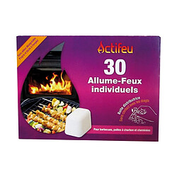 Actifeu Allume-Feu Sans Odeur x30