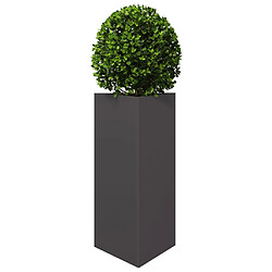 Avis vidaXL Jardinières 2 pcs noir triangulaire 40x34,5x70 cm acier