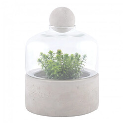 Ac-Deco Bouteille terrarium base béton - D 18 x H 23,6 cm