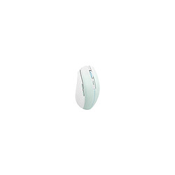 Souris Tnb GRADIENT Souris sans fil rechargeable DUAL CONNECT bleu