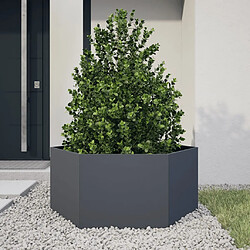 vidaXL Jardinière anthracite hexagone 104x90x45 cm acier