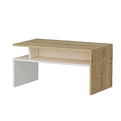 Avis EPIKASA Table Basse Ada