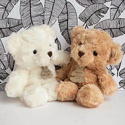 Histoire d'Ours Doudou et Compagnie OURS CALIN 21 cm IVOIRE