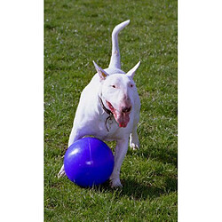 Company of Animals Jouet Chien Boomer Ball 20 cm pas cher