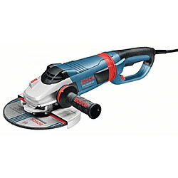 Bosch GWS 24-230 LVI Professional