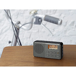 Sangean Radio portable DAB FM avec 30 stations préréglées gris noir