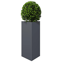 Avis vidaXL Jardinières 2 pcs anthracite triangulaire 40x34,5x70 cm acier