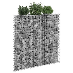 Maison Chic Jardinière,Lit surélevé - Bac à fleurs - pot de fleur à gabion en trapèze Acier galvanisé 100x20x100 cm -GKD99010