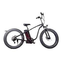 Vélo électrique Air rise 48v 750w