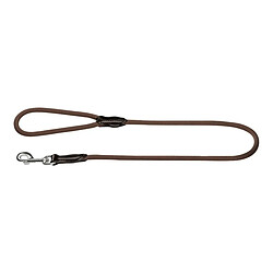 Laisse pour Chien Hunter FREESTYLE Marron (110 cm)