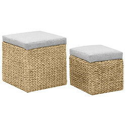 Maison Chic Lot de 2 Repose-pied,Tabouret confortable Jacinthe d'eau Gris -MN17569