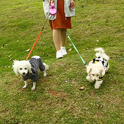 Universal Traction pour animaux de compagnie à deux têtes Corde de traction pour chiens rétractable automatique Creative Double Dog Walking Belt Chaîne Fournitures pour animaux de compagnie | Laisse (rose) pas cher