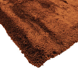 Avis Thedecofactory SAUVAGE - Tapis à poils longs extra-doux marron clair 120x160