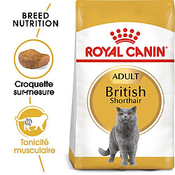 Royal Canin Race British Shorthair Adult