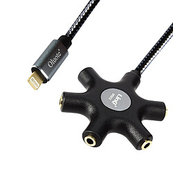 Câble audio Lightning vers 5 prises Jack 3.5mm Son de qualité Longueur 10m LinQ