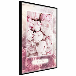 Paris Prix Affiche Murale Encadrée Scent of Peonies 20 x 30 cm Noir