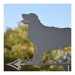 Acheter Primus Girouette en acier noir silhouette Golden Retriever.