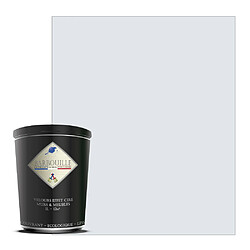 BARBOUILLE Peinture lessivable acrylique velouté – murs et plafonds