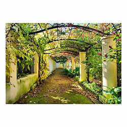 Paris Prix Papier Peint Pergola 210 x 300 cm