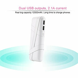 Deoditoo Batterie Externe Portable 12000 mAh Smart and Fashion B032