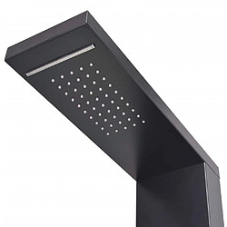 Avis vidaXL Système de panneau de douche Aluminium Mat Noir