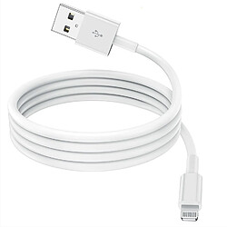 Cable compatibles avec iPhone 14/13/12/11/X/XR/XS Max/SE- Little Boutik© USB 2M - Little Boutik©