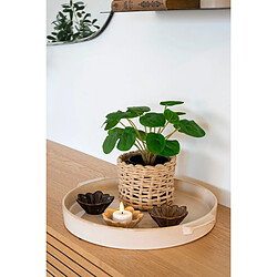 EPIKASA Plante Artificielle Pilea