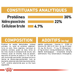 Acheter Royal Canin Race Persan Adulte