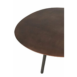 Acheter Inside 75 Table de salon MISTE en Aluminium Marron / Large