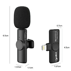 Yonis Microphone Sans Fil Réduction De Bruit 360°