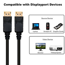 Acheter Cable Displayport 1.4 Ewent EC1405 Ethernet 8K 1m Negro