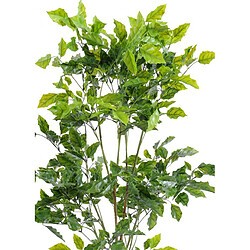 Pegane Plante artificielle haute gamme Spécial extérieur / Palissandre artificielle vert - Dim : 120 x 60 cm