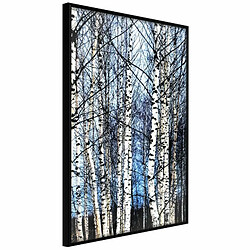 Paris Prix Affiche Murale Encadrée Winter Birch Trees 20 x 30 cm Noir