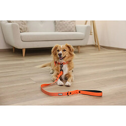 Collier pour Chien Kerbl 80100 Noir Orange Imprimé 45 cm 36 cm