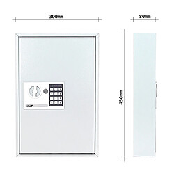 Acheter Profirst Armoire à clés Elea 64 EL