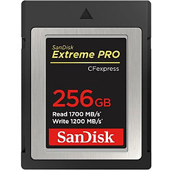 Carte mémoire Sandisk Extreme Pro 256 Go CompactFlash