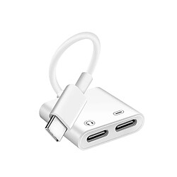 Avizar Adaptateur USB-C Mâle vers Double USB-C Femelle Audio et Charge Compact Blanc