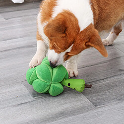 Jouets à mâcher en forme de brocoli pour chiens, chats et animaux de compagnie.