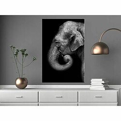 Paris Prix Tableau Imprimé Portrait of Elephant 40 x 60 cm