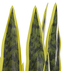 Beliani Plante artificielle SNAKE PLANT 63 cm pas cher