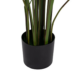 Acheter BigBuy Home Plante décorative PVC Ciment Tissu 50 x 50 x 220 cm