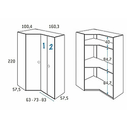 Inside 75 Armoire d'angle pan-coupé 2 portes 160,3 x 220 cm finition chêne blanchis porte droite pliante intérieur double